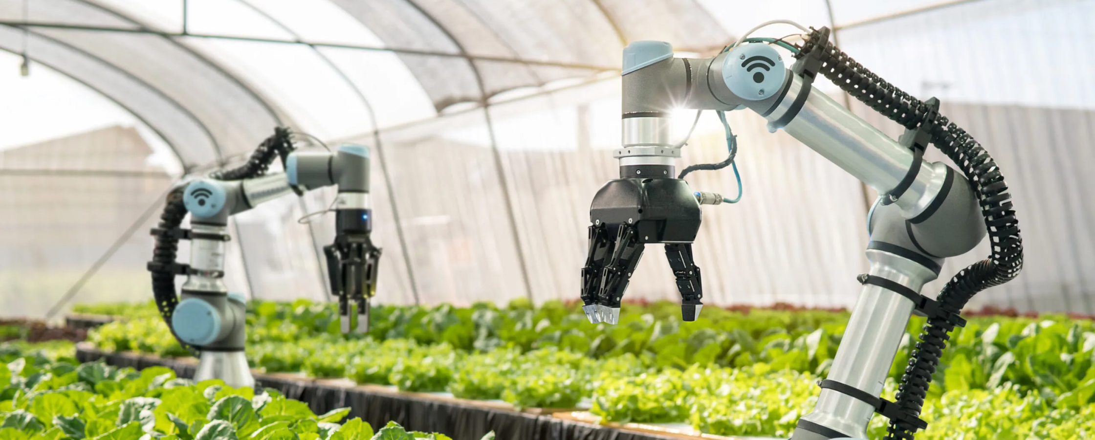 Revolutionizing agriculture with Harmony’s approach  